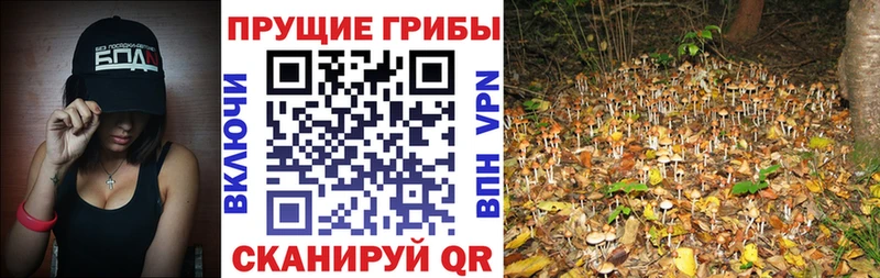 Галлюциногенные грибы прущие грибы  Купить где  Сосногорск 